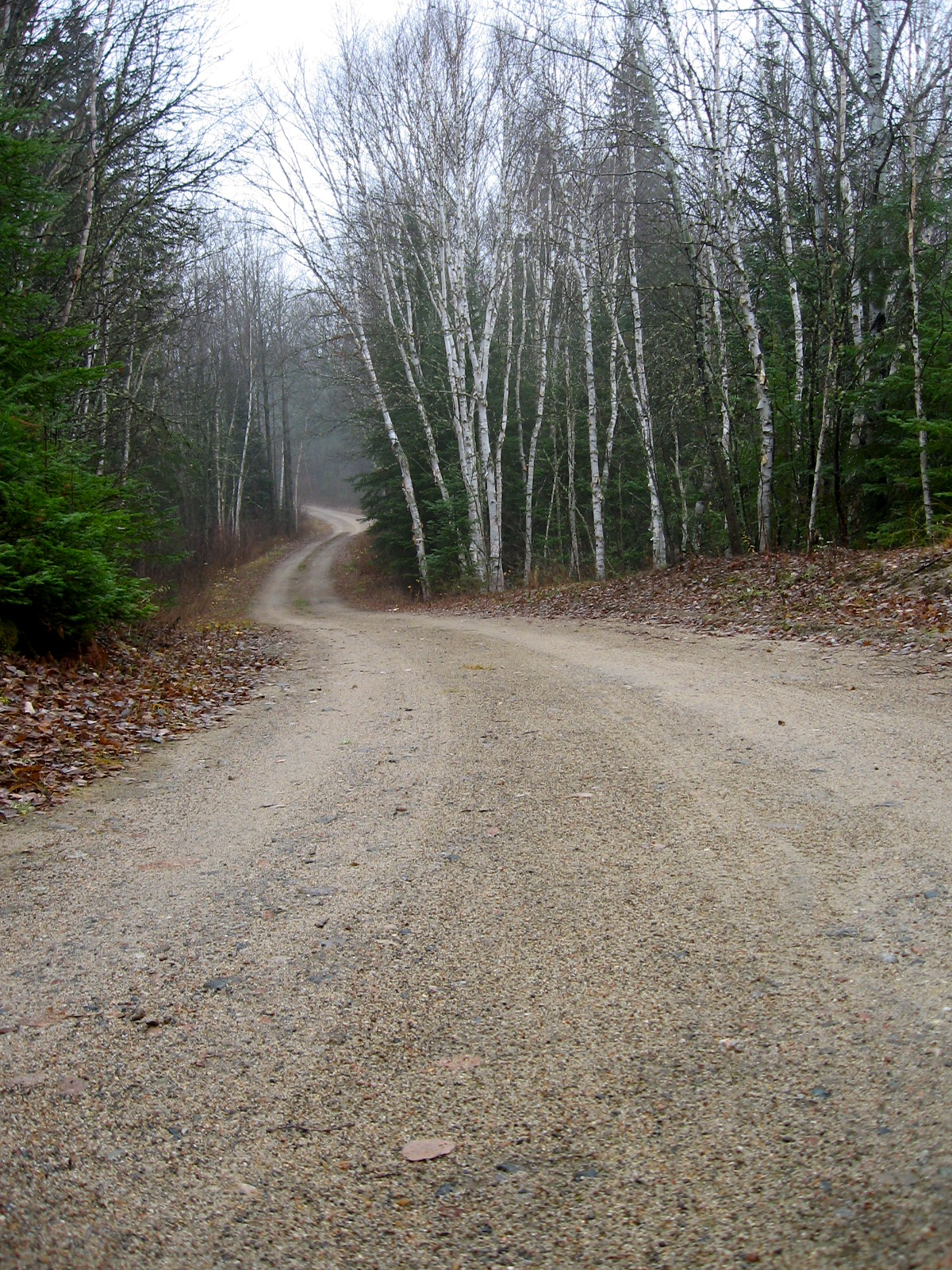 the road I walk daily (p bustin 2012)