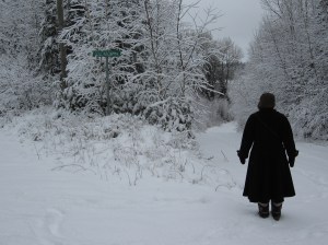 Snowy Walk 2012