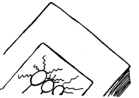 Book from Goose - from Mostly Happy