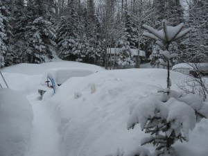 but I can't quite see the car.