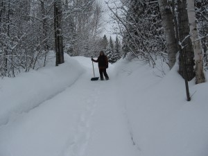 muuuusssst shovel....