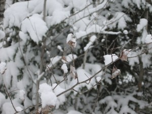 But look, honey ..it's so pretty....