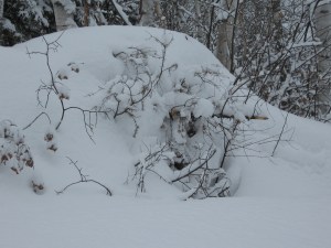 ..does Spring sleep under the mound?