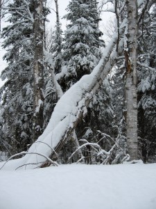 ..this one reminded me...