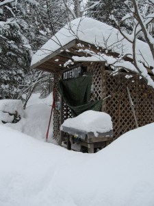 ..the emptying woodshed...