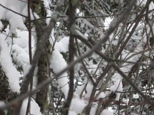 I am hypnotised by the beauty....