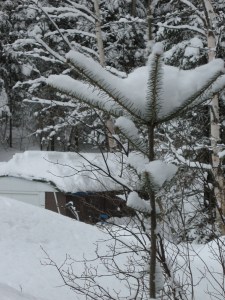 Coming out the back door...