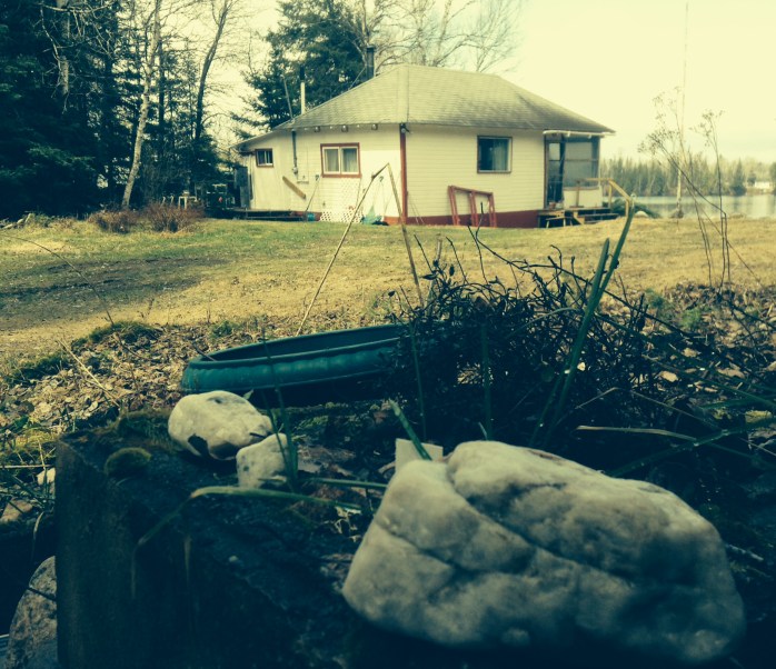 The view from the steps of the Writing Burrow