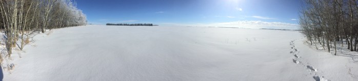 It is solved by walking